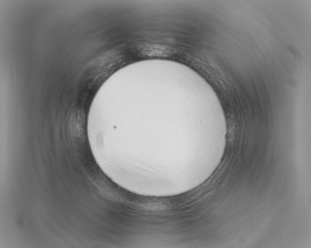 X0000115150175200912081354