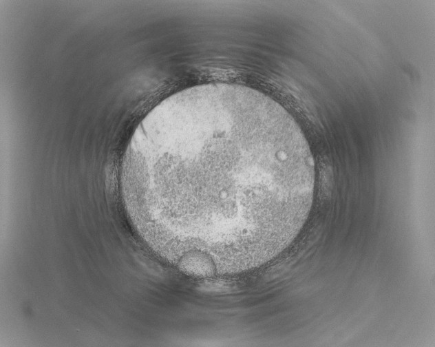 X0000115150177200912081354