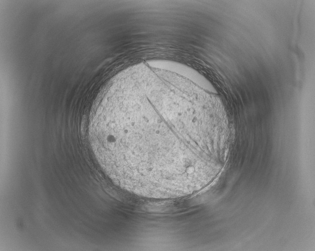 X0000115150178200912081354