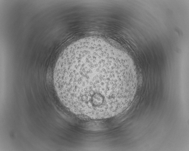 X0000115150179200912081354