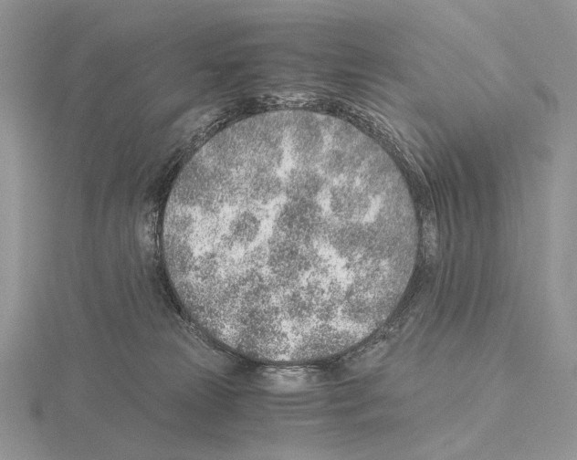 X0000115150181200912081354