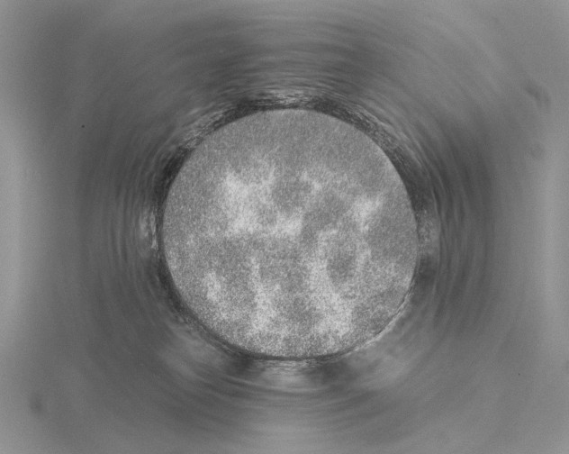 X0000115150182200912081354