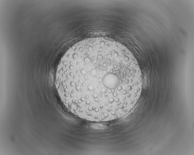 X0000115150183200912081354