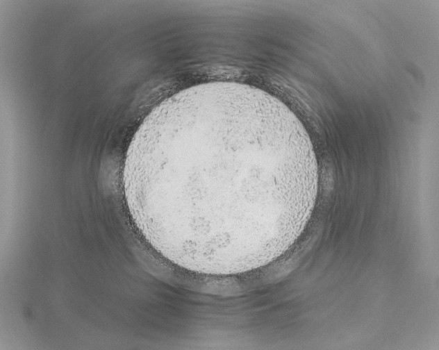 X0000115150185200912081354