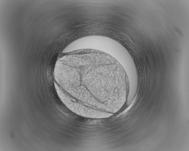 X0000115150186200912081354