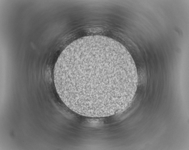 X0000115150187200912081354