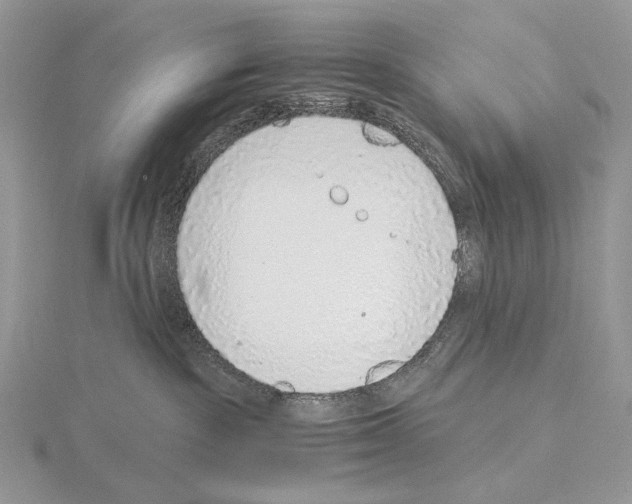 X0000115150189200912081354