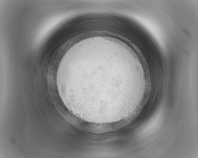 X0000115150191200912081354