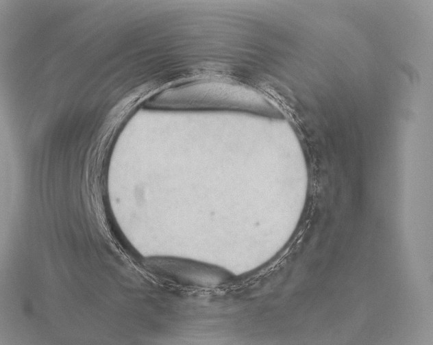 X0000115150193200912081354