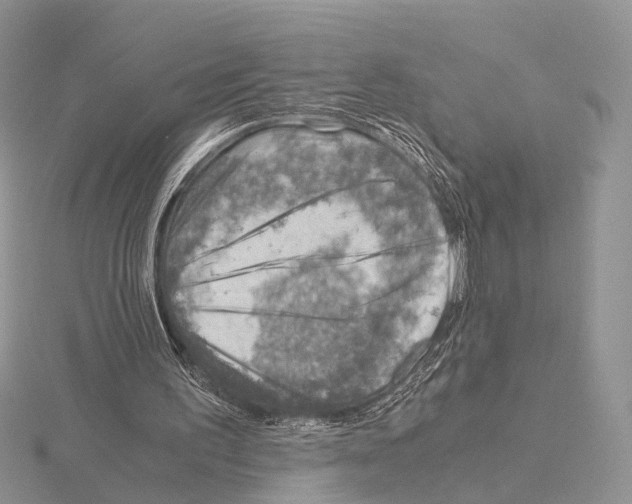 X0000115150195200912081354