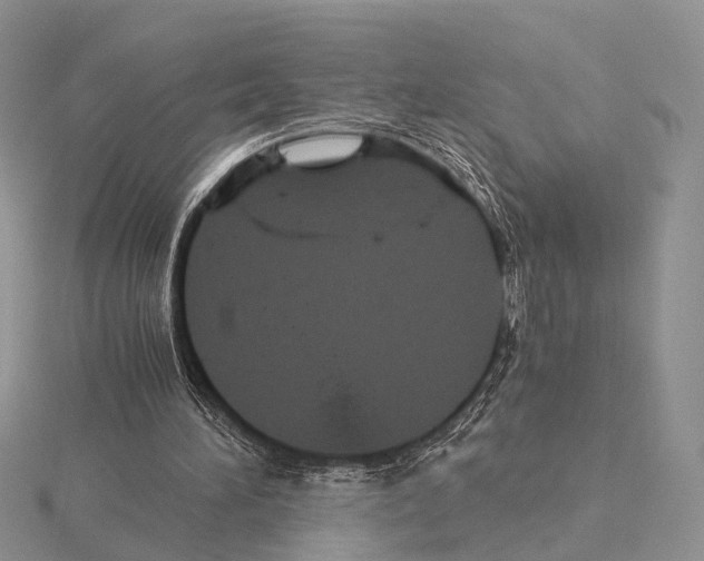 X0000115150196200912081354