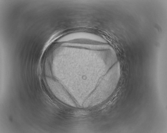 X0000115150198200912081354