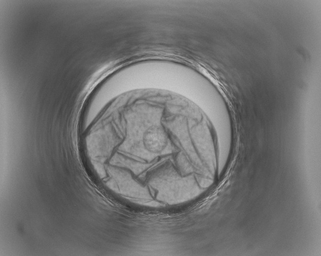 X0000115150199200912081354