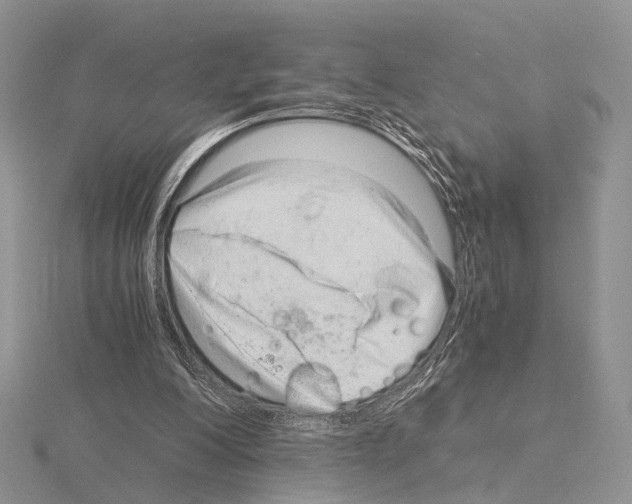 X0000115150200200912081354