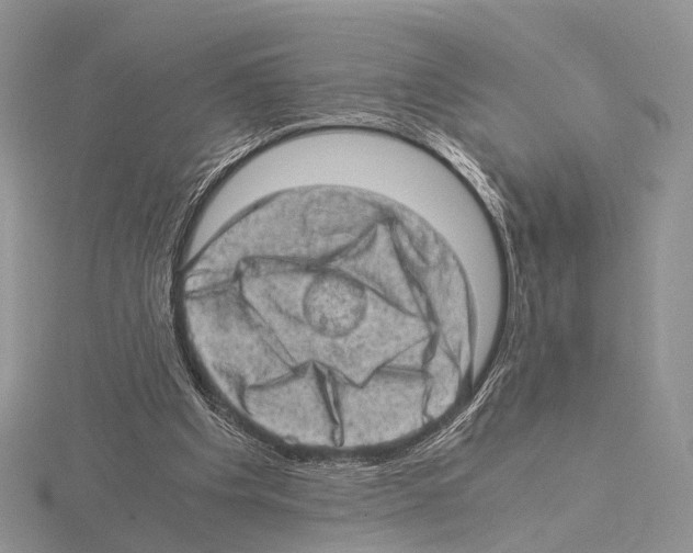 X0000115150201200912081354