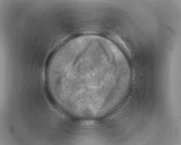 X0000115150202200912081354