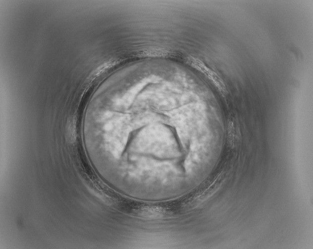 X0000115150203200912081354