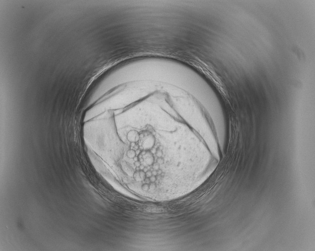 X0000115150204200912081354