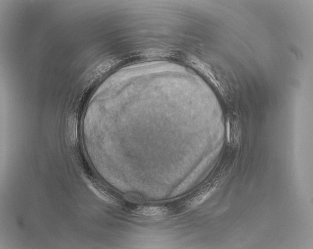 X0000115150205200912081354