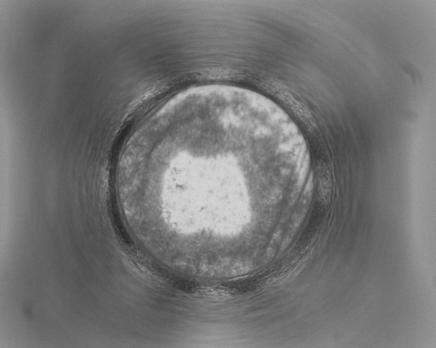 X0000115150207200912081353