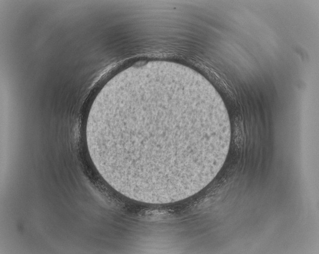 X0000115150208200912081353