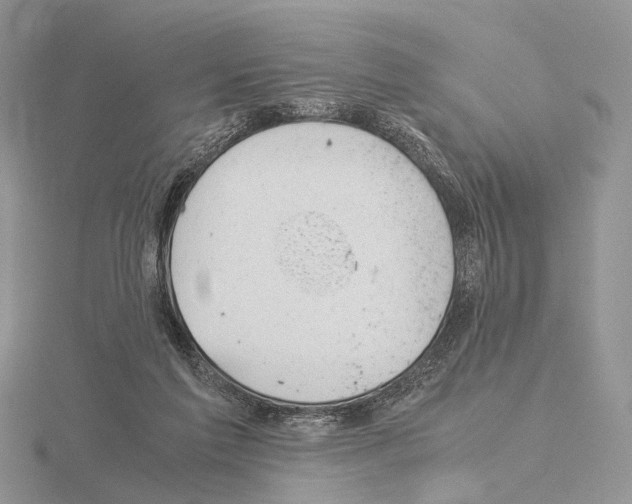 X0000115150213200912081353