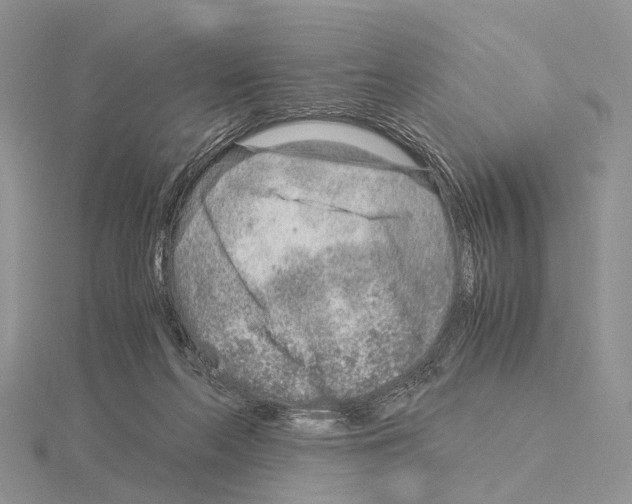 X0000115150214200912081353