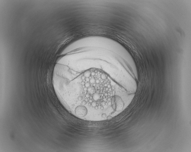 X0000115150216200912081353