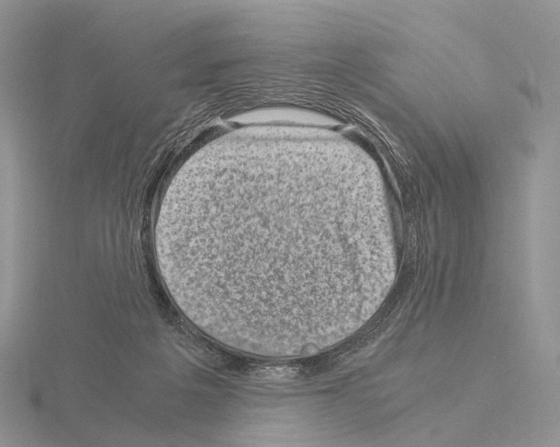 X0000115150217200912081353