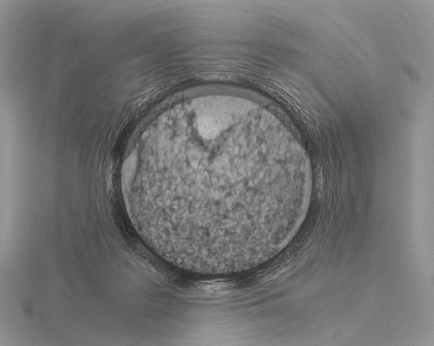 X0000115150219200912081353