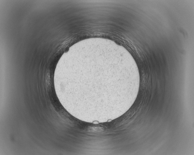 X0000115150220200912081353