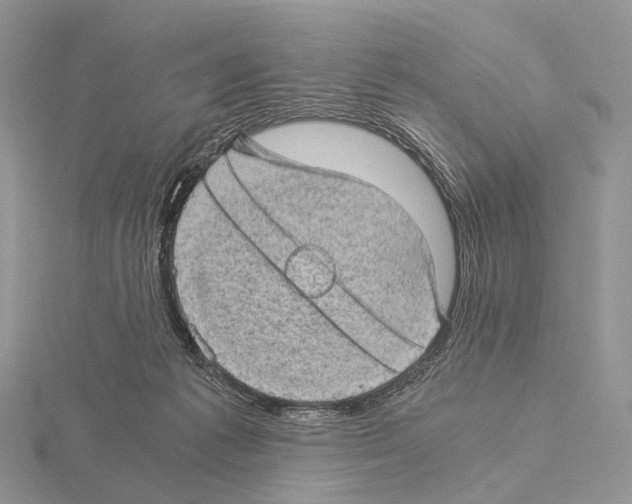 X0000115150221200912081353