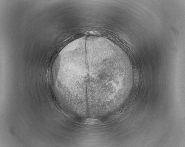 X0000115150222200912081353