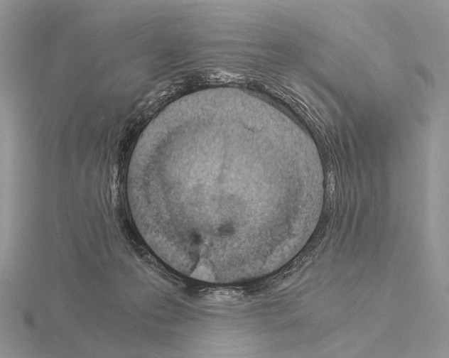 X0000115150223200912081353