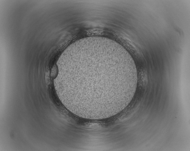 X0000115150224200912081353