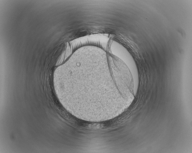 X0000115150225200912081353