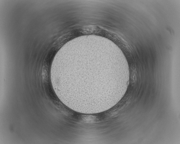 X0000115150226200912081353