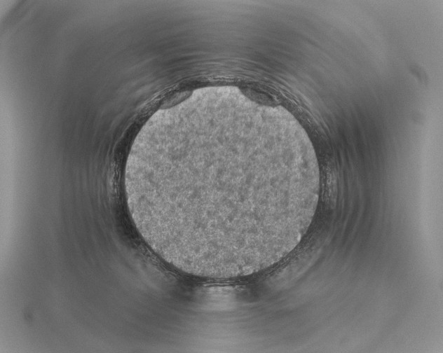 X0000115150228200912081353