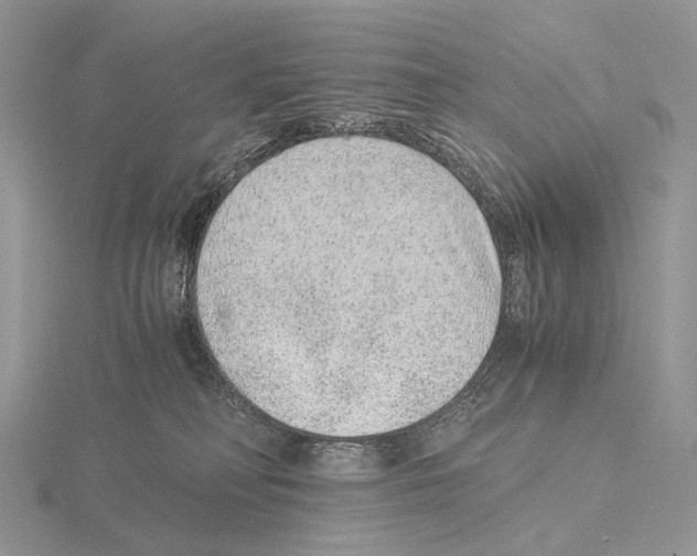 X0000115150230200912081353