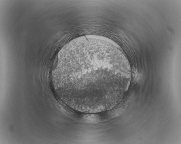 X0000115150231200912081353