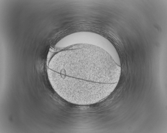 X0000115150233200912081353