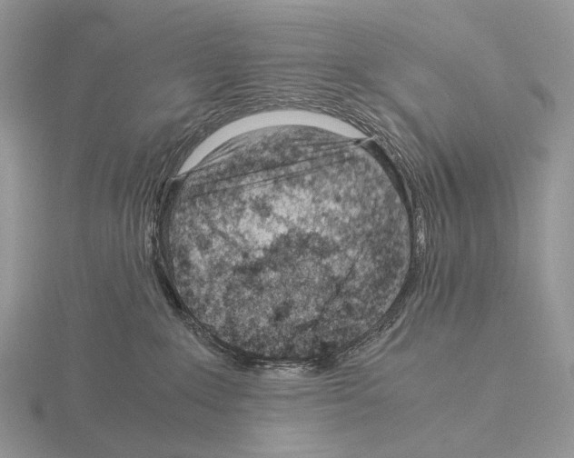 X0000115150235200912081353