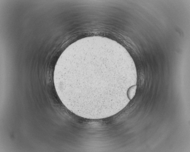 X0000115150236200912081353