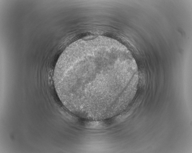 X0000115150237200912081353