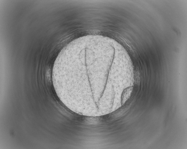 X0000115150238200912081353