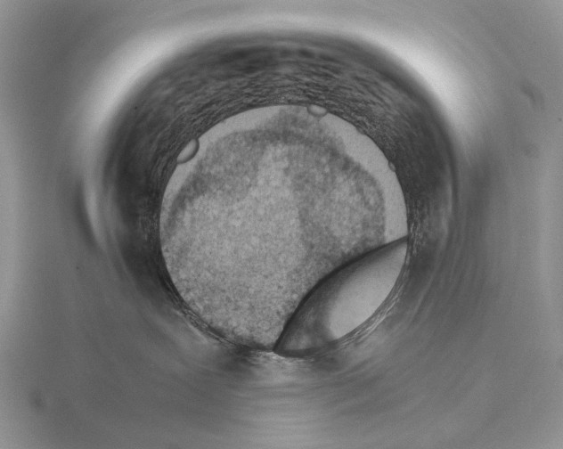 X0000115150239200912081353