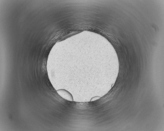 X0000115150240200912081353