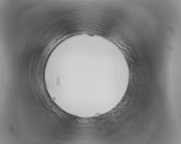 X0000115150241200912081352