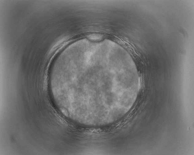 X0000115150243200912081352