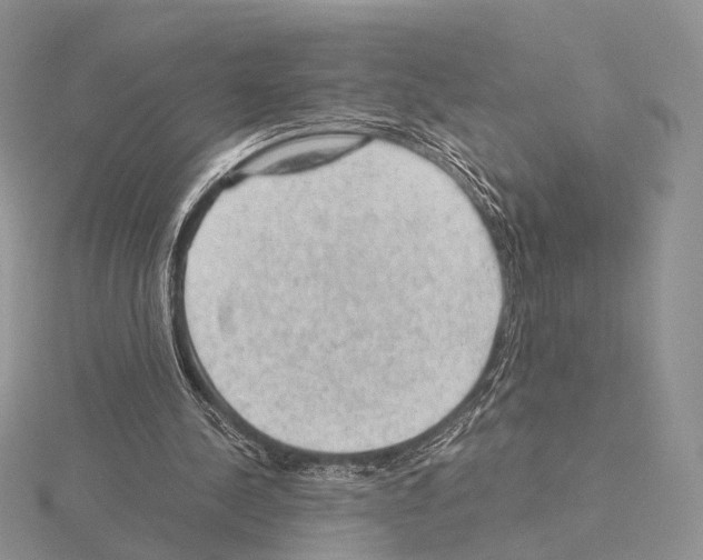 X0000115150244200912081352